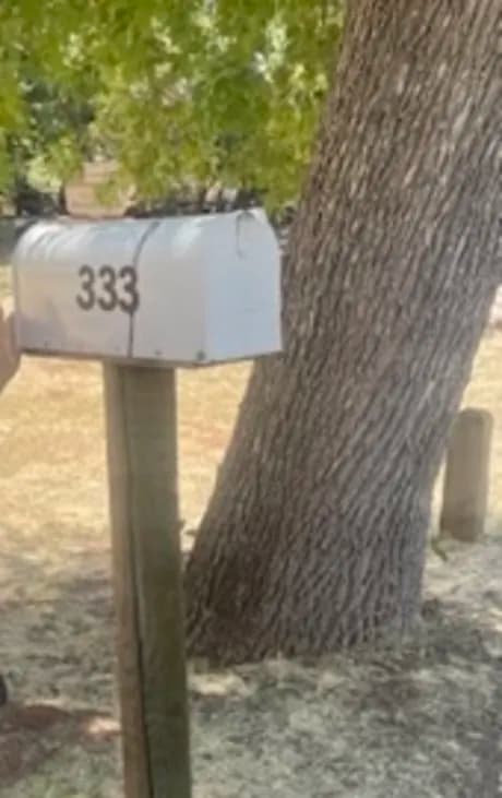 A white mailbox marked 333, standing alone beside a tree